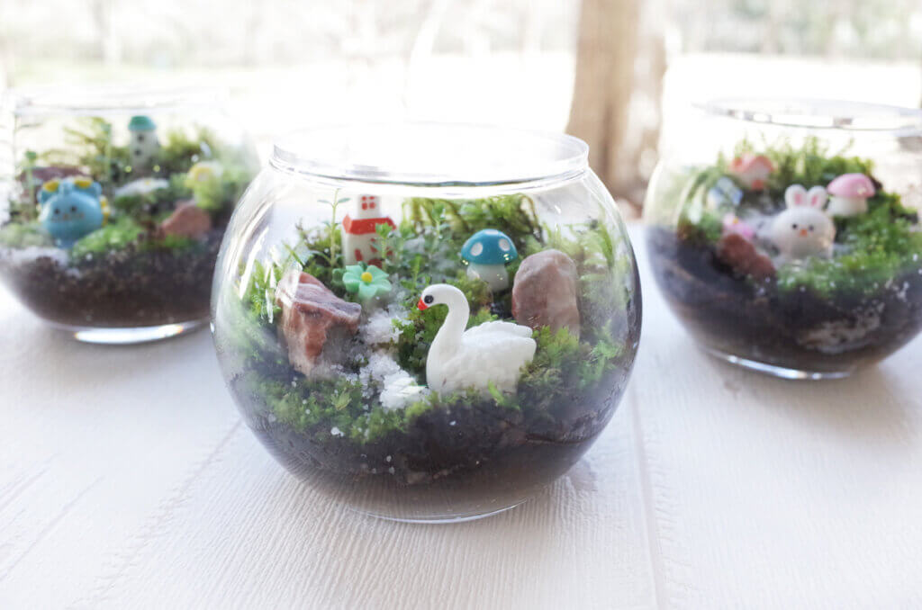 ゴールデンウィーク・初夏限定　土の工房　小さな森のテラリウム作り