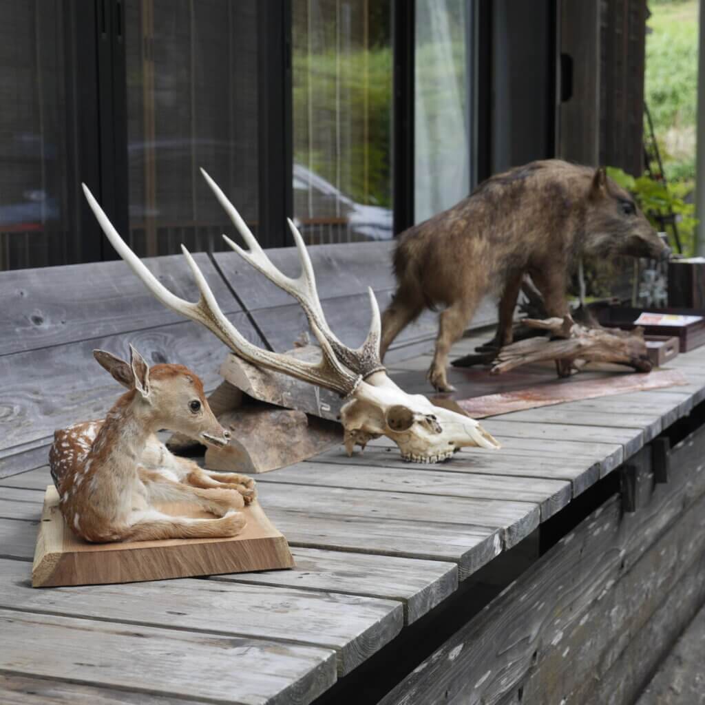 地元の野生動物の革で小物を作ろう♪